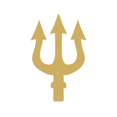 @trident.acquisitions profile image
