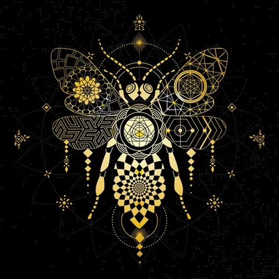 @trippybeerecords profile image