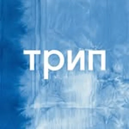 @triprecordings profile image