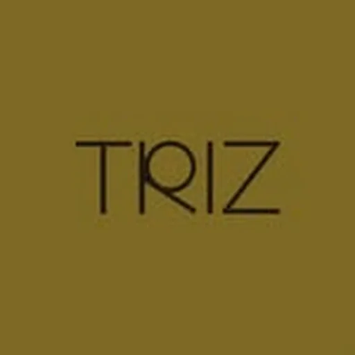 @triz_lab profile image