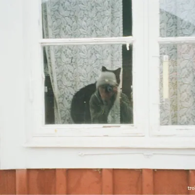 @troldhaugen_ profile image