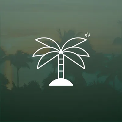 @tropicmedia profile image