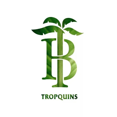 @tropquins profile image