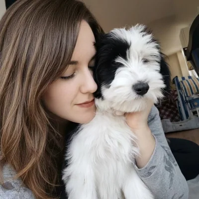 @trufa_tibetterrier profile image