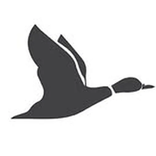 @truffleduck profile image