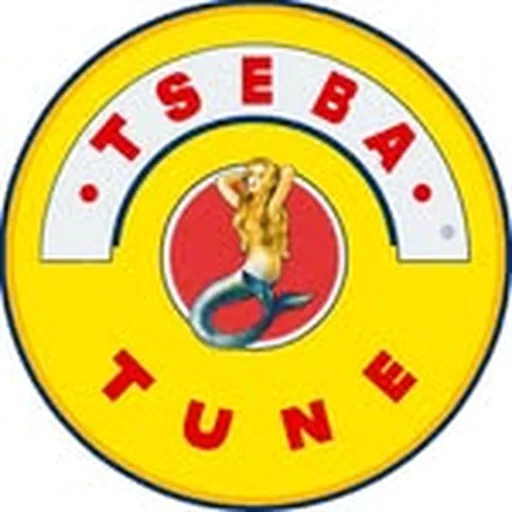 @tseba_ profile image