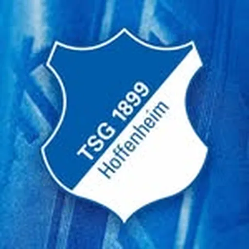 @tsghoffenheim profile image