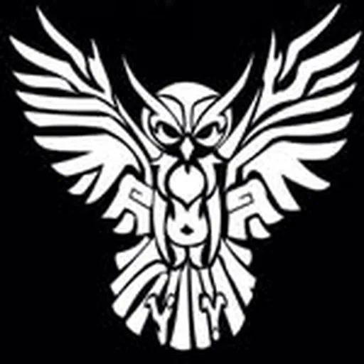 @tskfrc profile image