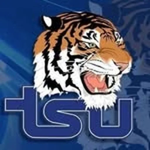 @tsuonlymoves profile image