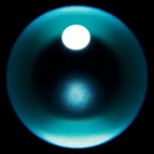 @ttobvl profile image