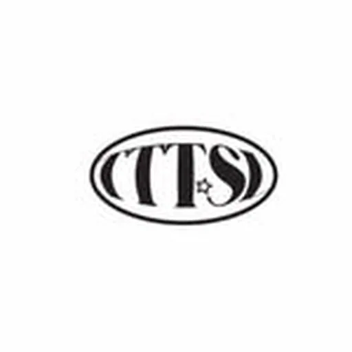 @tttsl_ng profile image