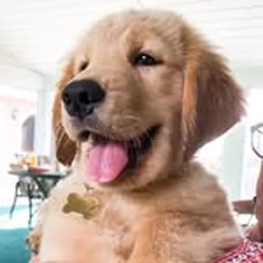 @tuckerbudzyn profile image