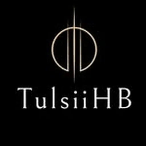 @tulsiihb profile image