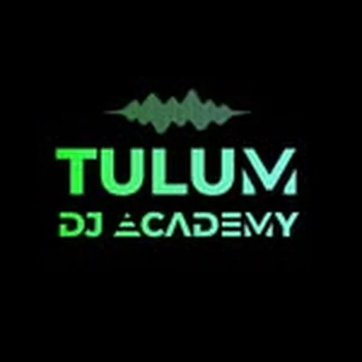 @tulumdjacademy profile image