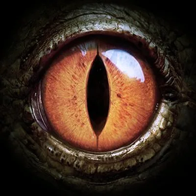 @turokorigins profile image