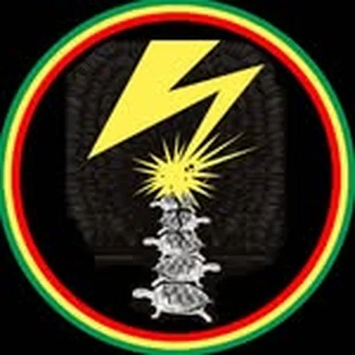 @turtlesallthewaydownbk profile image