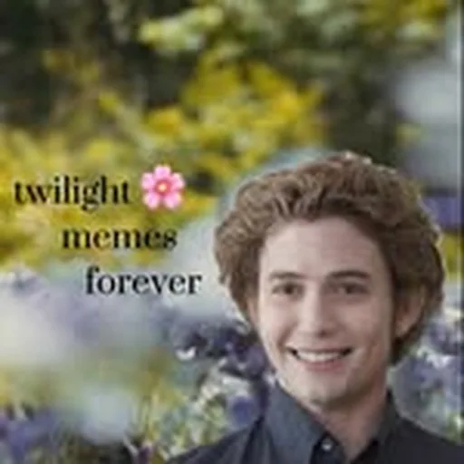 @twilight.memes.forever profile image