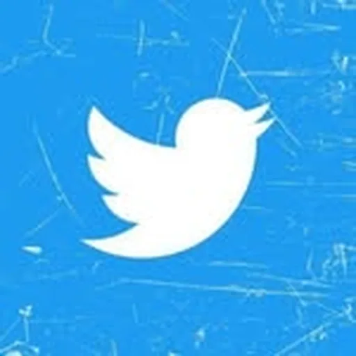 @twitter profile image