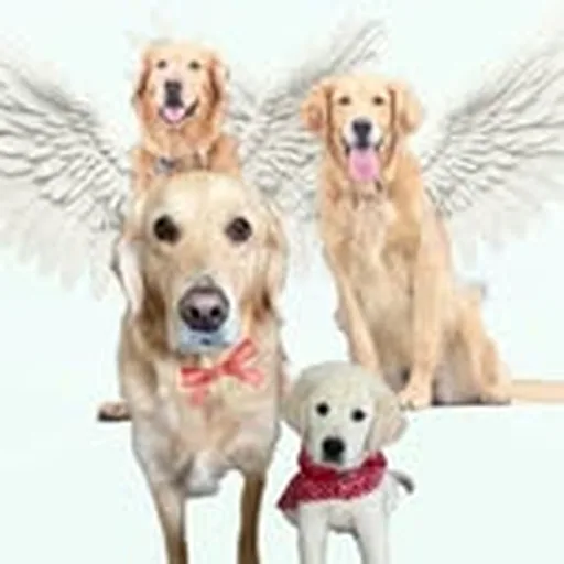 @twogoldentails_2 profile image