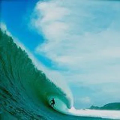 @tyler_warren profile image