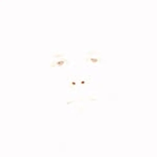@tymekpapior profile image
