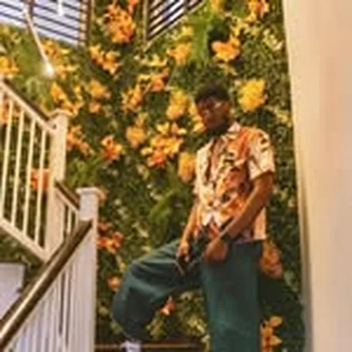 @tzermelanin profile image