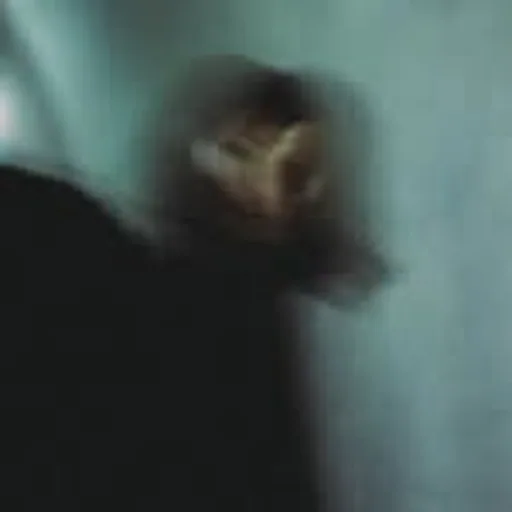 @u_graupel profile image