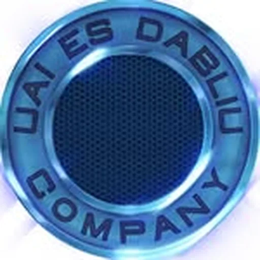 @uaiesdabliu profile image