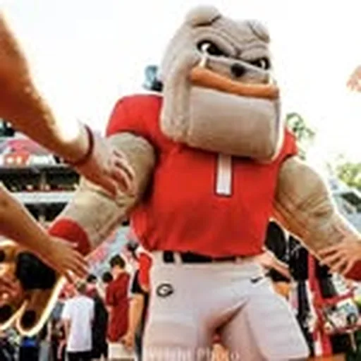 @ugahairydawg profile image