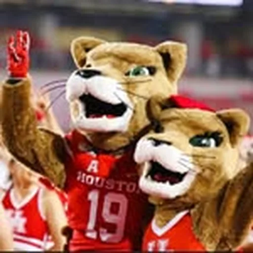 @uhpromo profile image