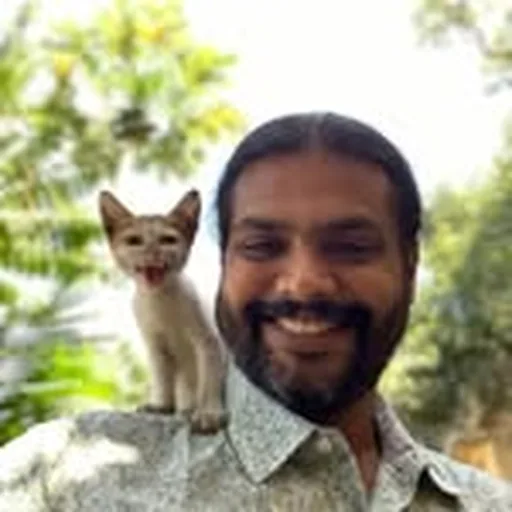 @ukoushik profile image