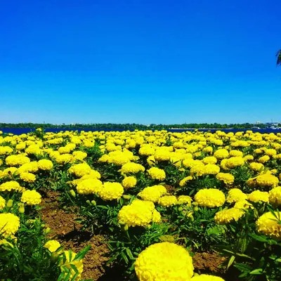 @ukraine_travel_blog profile image
