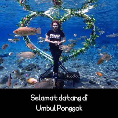 @umbulponggok profile image