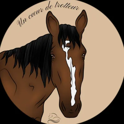 @un_coeur_trotteur profile image