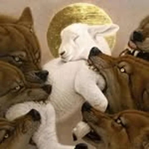 @uncle__bubu profile image