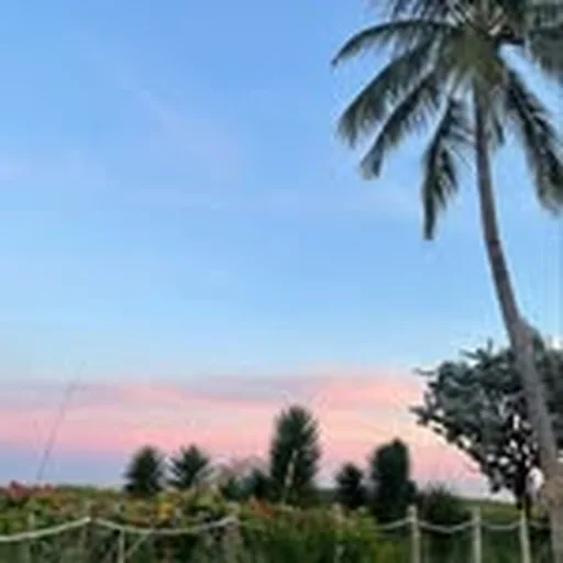 @under_the_palms_reviews profile image