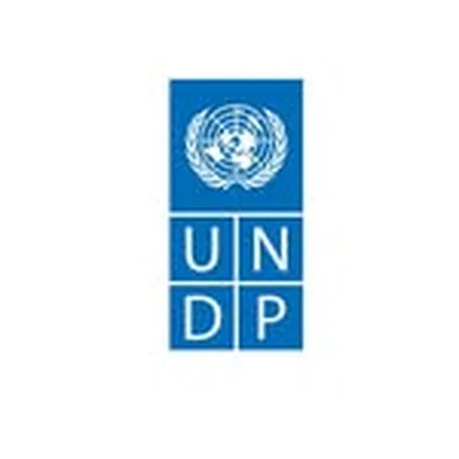 @undpnigeria profile image