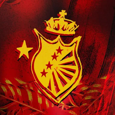 @uniaodemaricaoficial profile image