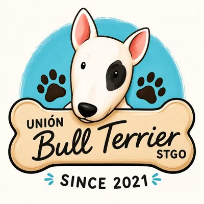@union.bullterrier.stgo profile image