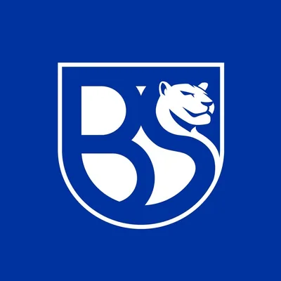@unionbrescia profile image