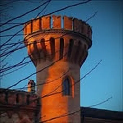 @unisg_official profile image