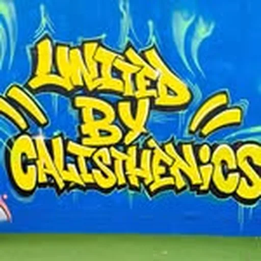 @unitedbycalisthenics profile image