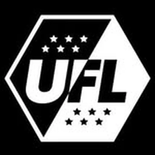 @unitedfightleague profile image