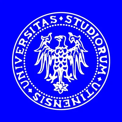 @universitadiudine profile image