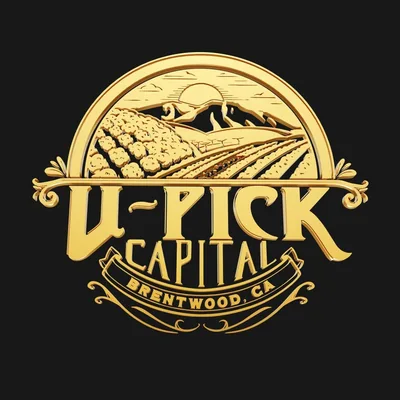 @upickcapital profile image