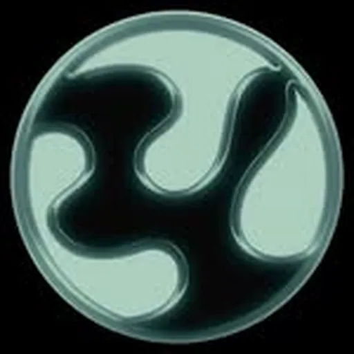 @upsurgeartists profile image