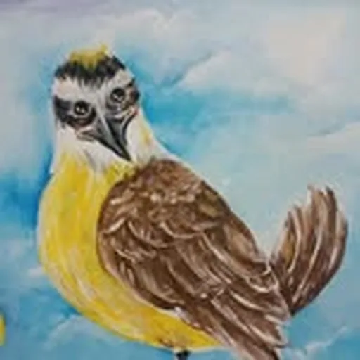 @urubu.arts profile image