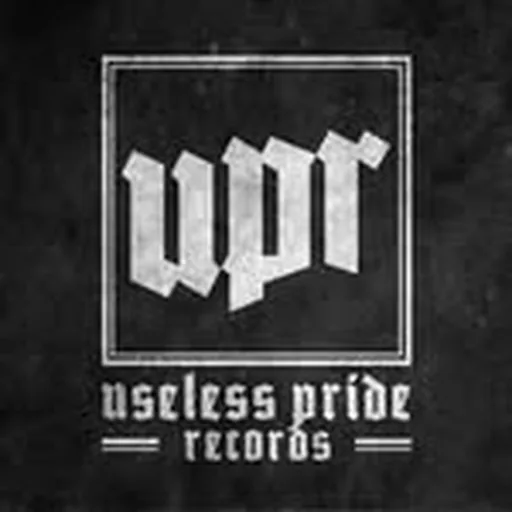@uselesspriderecords profile image