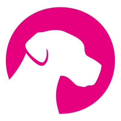 @usvetshows profile image