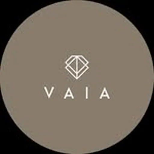 @vaia.official profile image